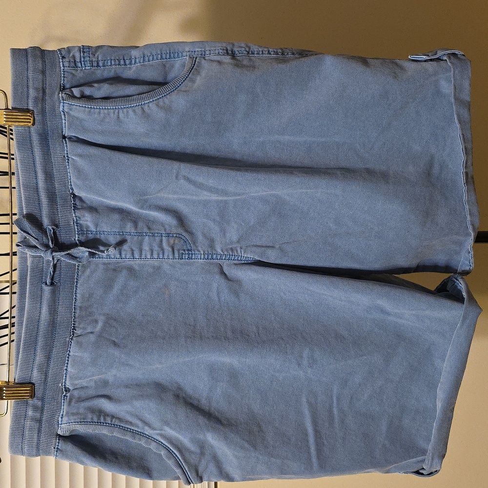 Womens Light Blue Shorts Style & Co Large (Jacqueline # 17)